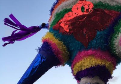 11001887 884846551538643 8549524983734037042 N