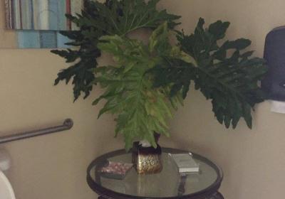 12371209 984220701601227 6799273427066420426 O